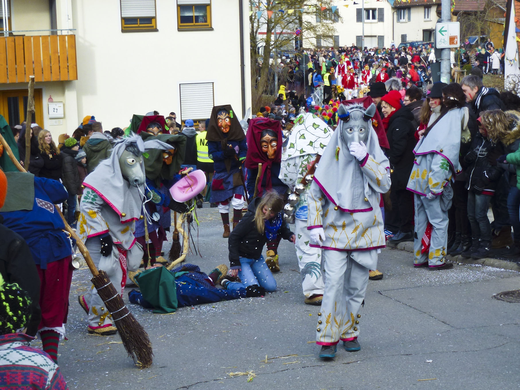 fasnet_esel_2014_13.jpg