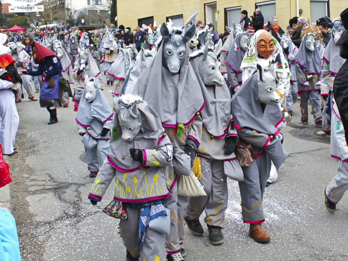 fasnet_esel_2014_3.jpg