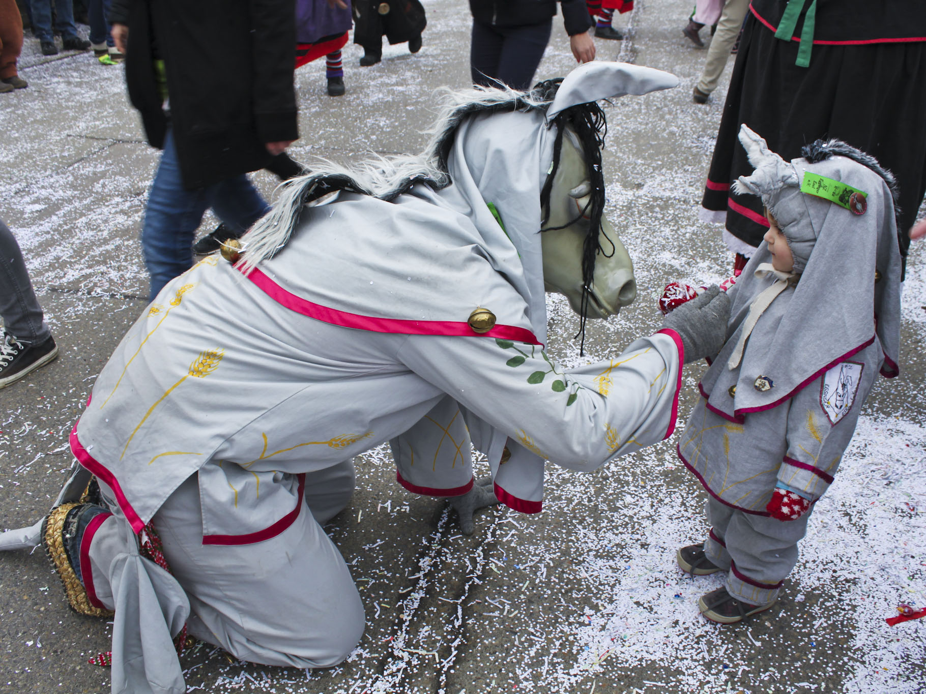 fasnet_esel_2014_8.jpg